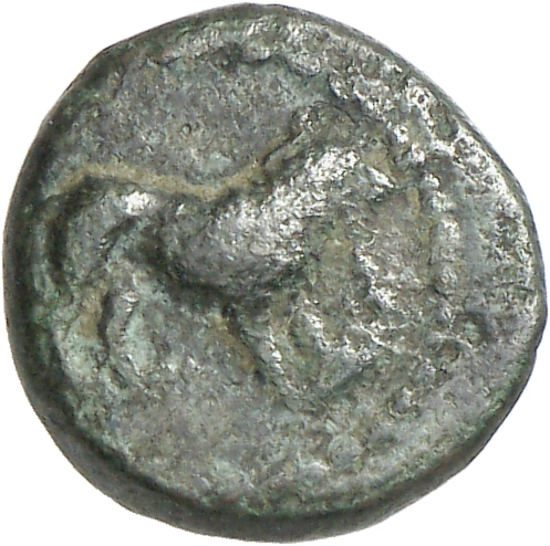 CN Type cn.cardia.1_ed.31, аверс, cn-coins