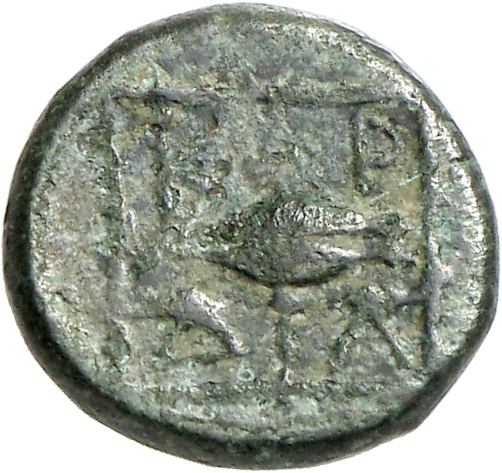 CN Type cn.cardia.1_ed.31, реверс, cn-coins