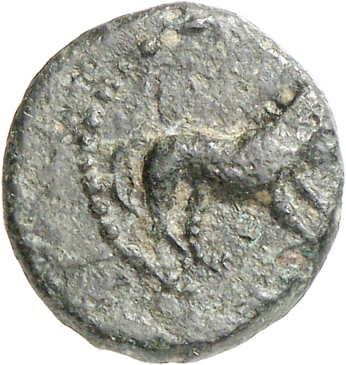 obverse CN Type cn.cardia.2_ed.31