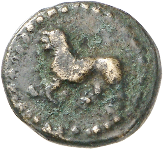 CN Type cn.cardia.2_ed.29, аверс, cn-coins