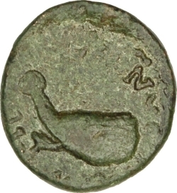 реверс CN Type cn.coela.1_ed.6