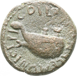 реверс CN Type cn.coela.1_ed.8