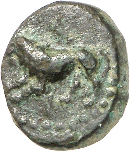obverse CN Type cn.cardia.2_ed.28