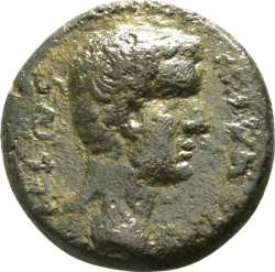 obverse CN Type cn.coela.1_ed.11