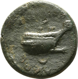 reverse CN Type cn.coela.1_ed.11