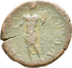 reverse CN Type cn.coela.1_ed.102
