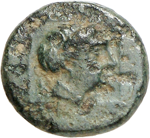 obverse CN Type cn.cardia.1_ed.19