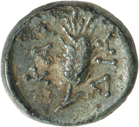 reverse CN Type cn.cardia.1_ed.19