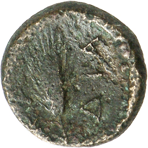 CN Type cn.cardia.2_ed.19, реверс, cn-coins
