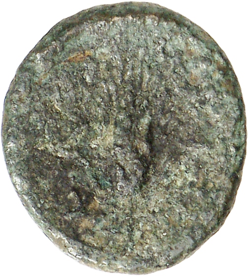 CN Type cn.cardia.2_ed.19, реверс, cn-coins