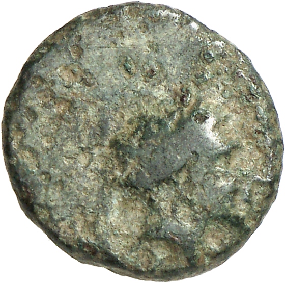 obverse CN Type cn.cardia.2_ed.19