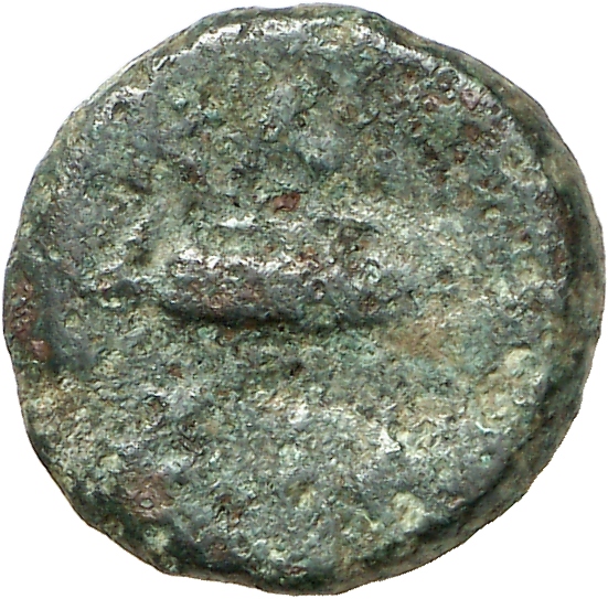 reverse CN Type cn.cardia.2_ed.19