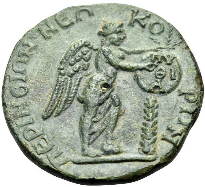 reverse CN Type cn.perinthus.1_ed.223