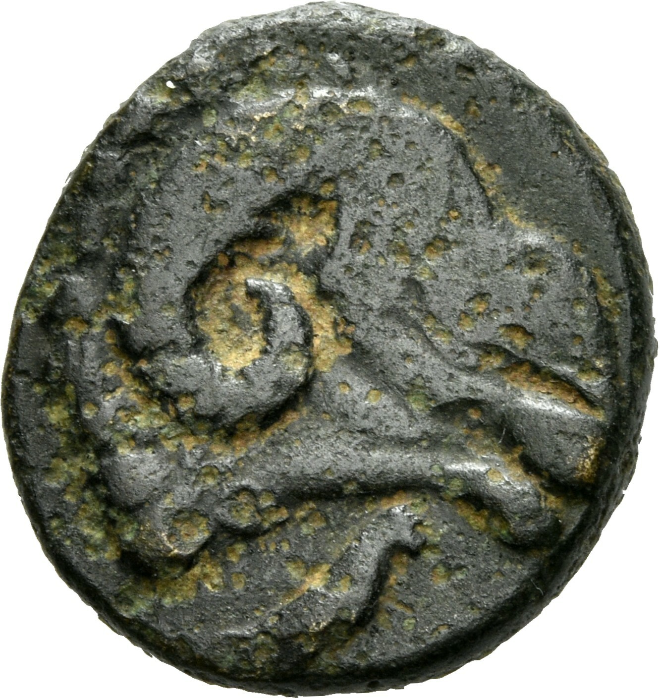 CN Type 12077, реверс, cn-coins