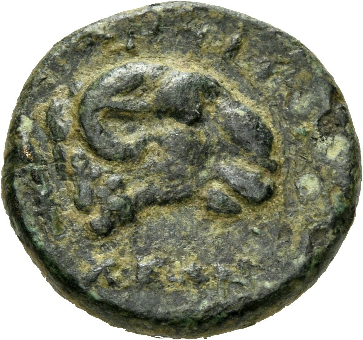CN Type 12081, реверс, cn-coins