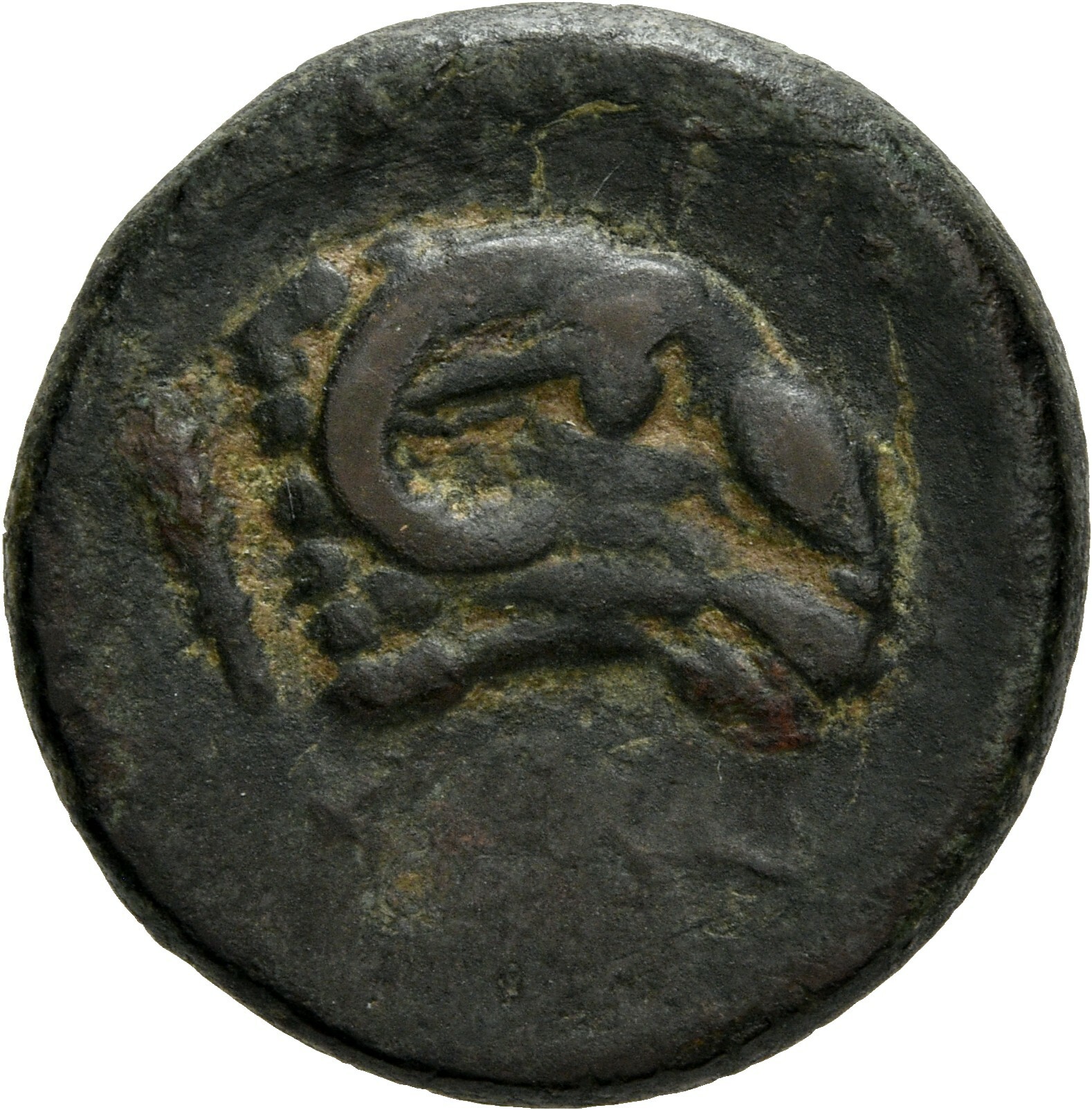 CN Type 12114, реверс, cn-coins