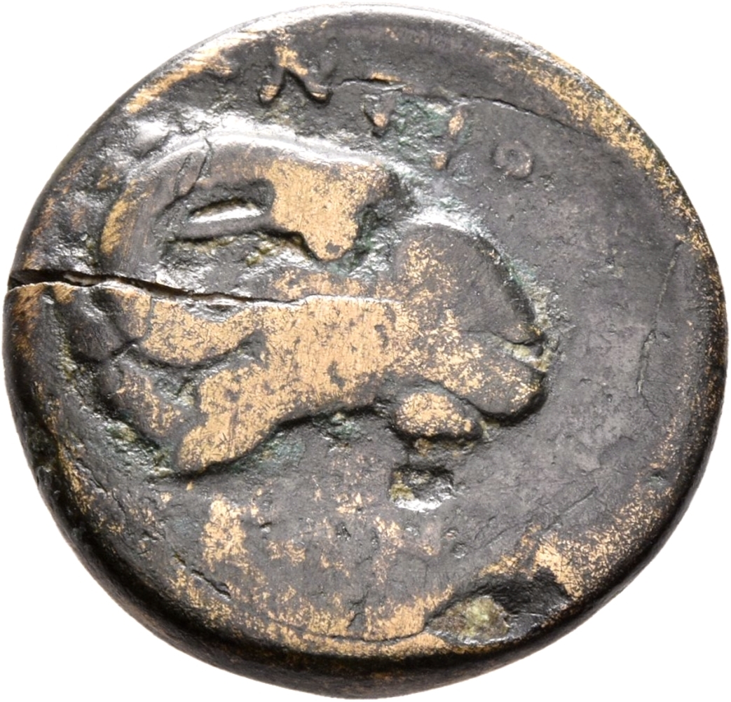 CN Type 12114, реверс, cn-coins