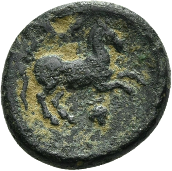 реверс CN Type 12138