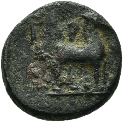CN Type 12182, реверс, cn-coins