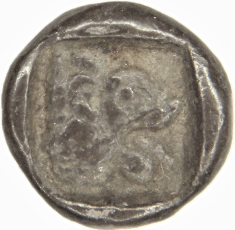 reverse CN Type 12242