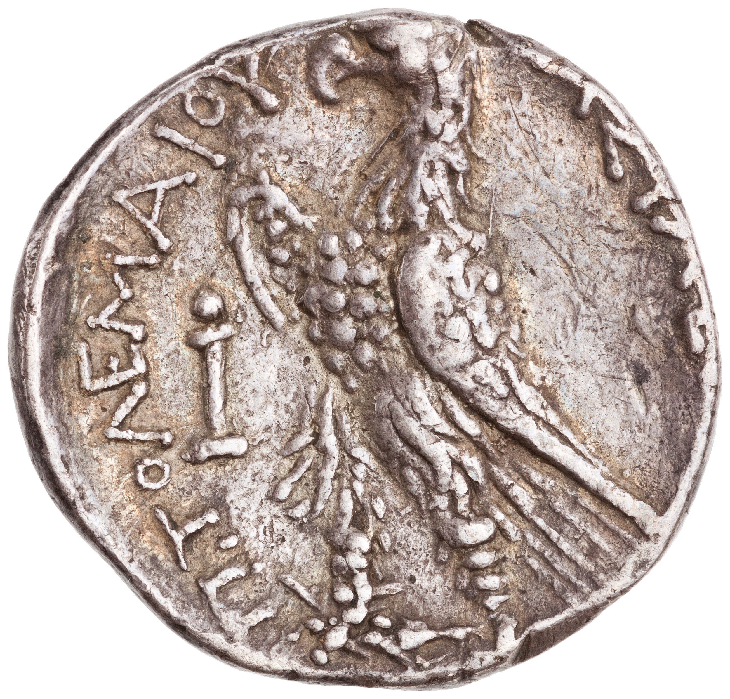 coin rev