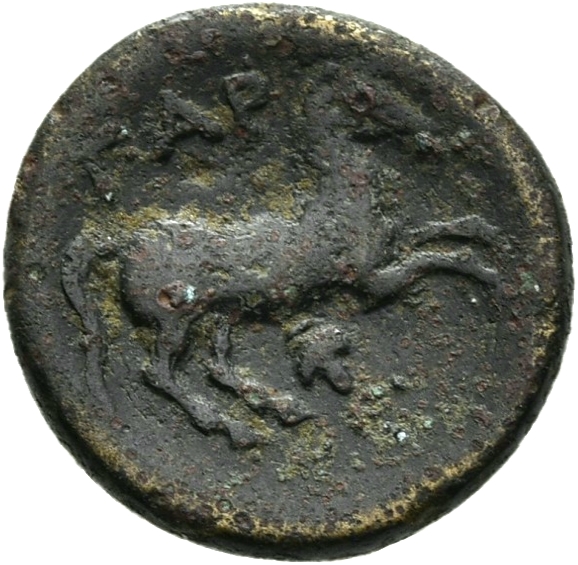 CN Type 12138, реверс, cn-coins