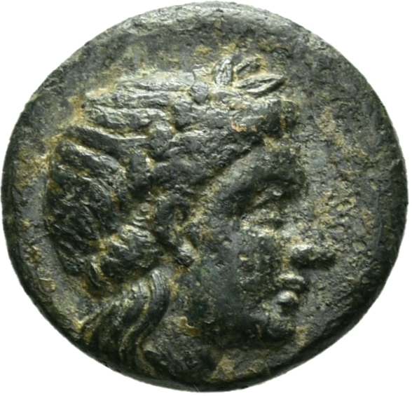 CN Type 12142, аверс, cn-coins