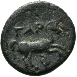 реверс CN Type 12343