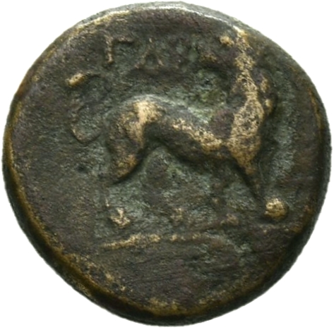 CN Type 12181, реверс, cn-coins