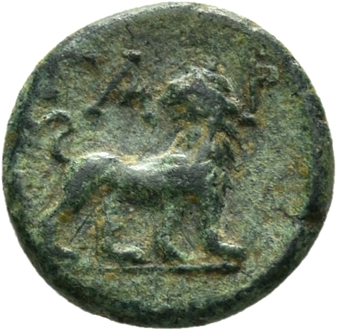 CN Type 12181, реверс, cn-coins