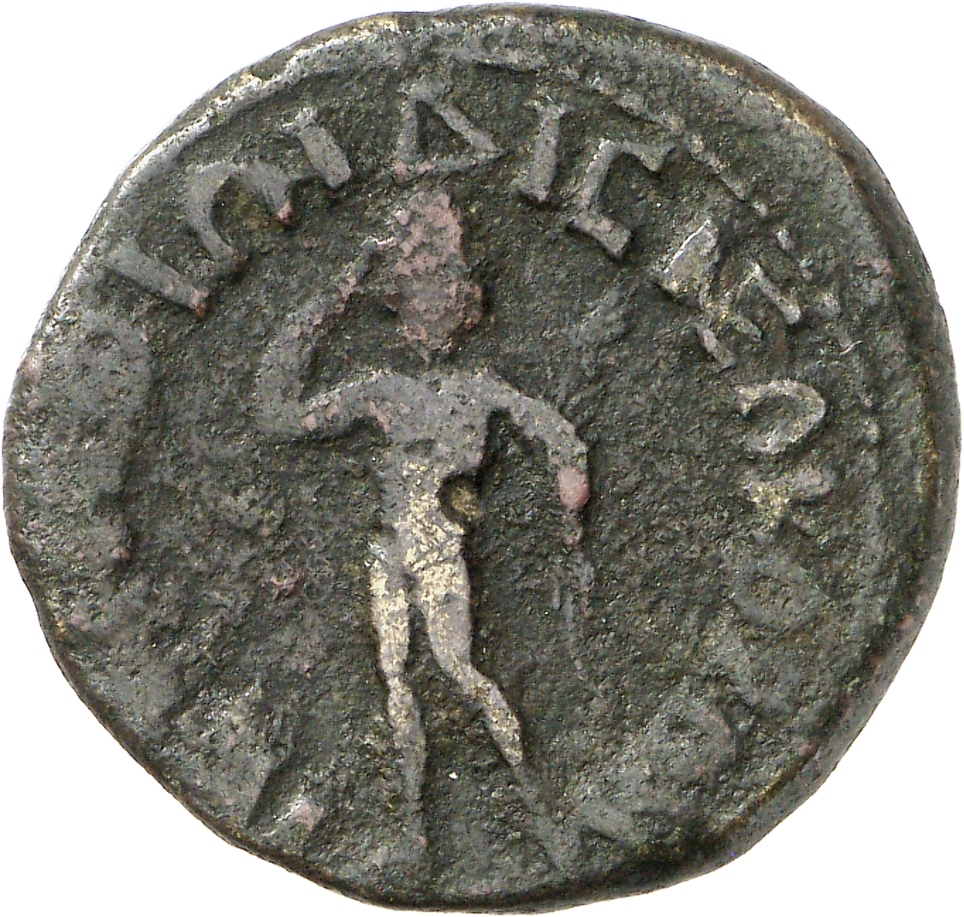 reverse CN Type cn.perinthus.1_ed.464