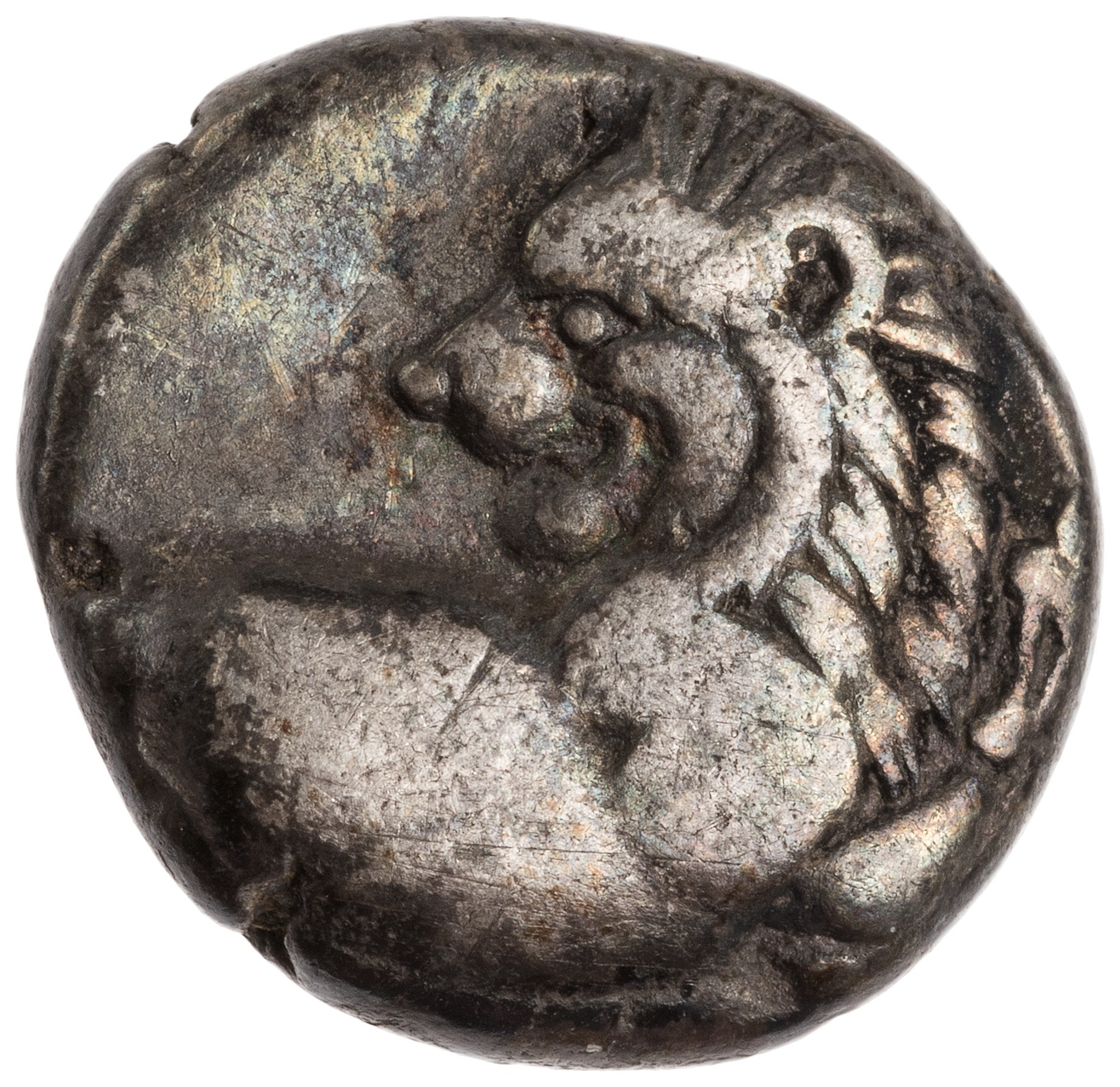 CN Type cn.chersonesus_thrace.1_ed.94, аверс, cn-coins