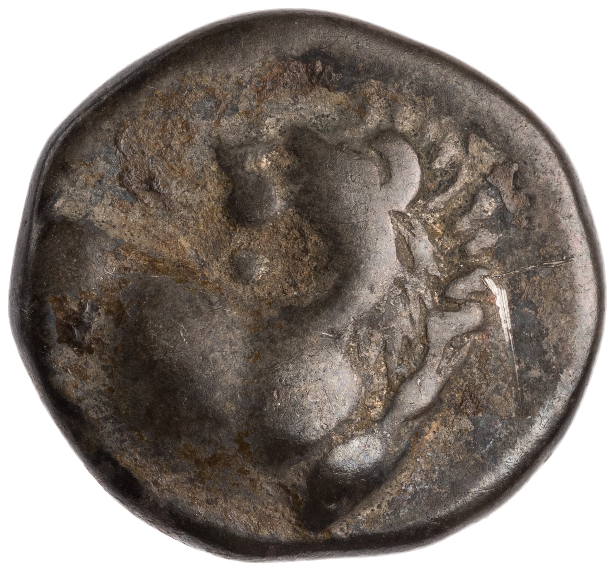 аверс CN Type cn.chersonesus_thrace.1_ed.93