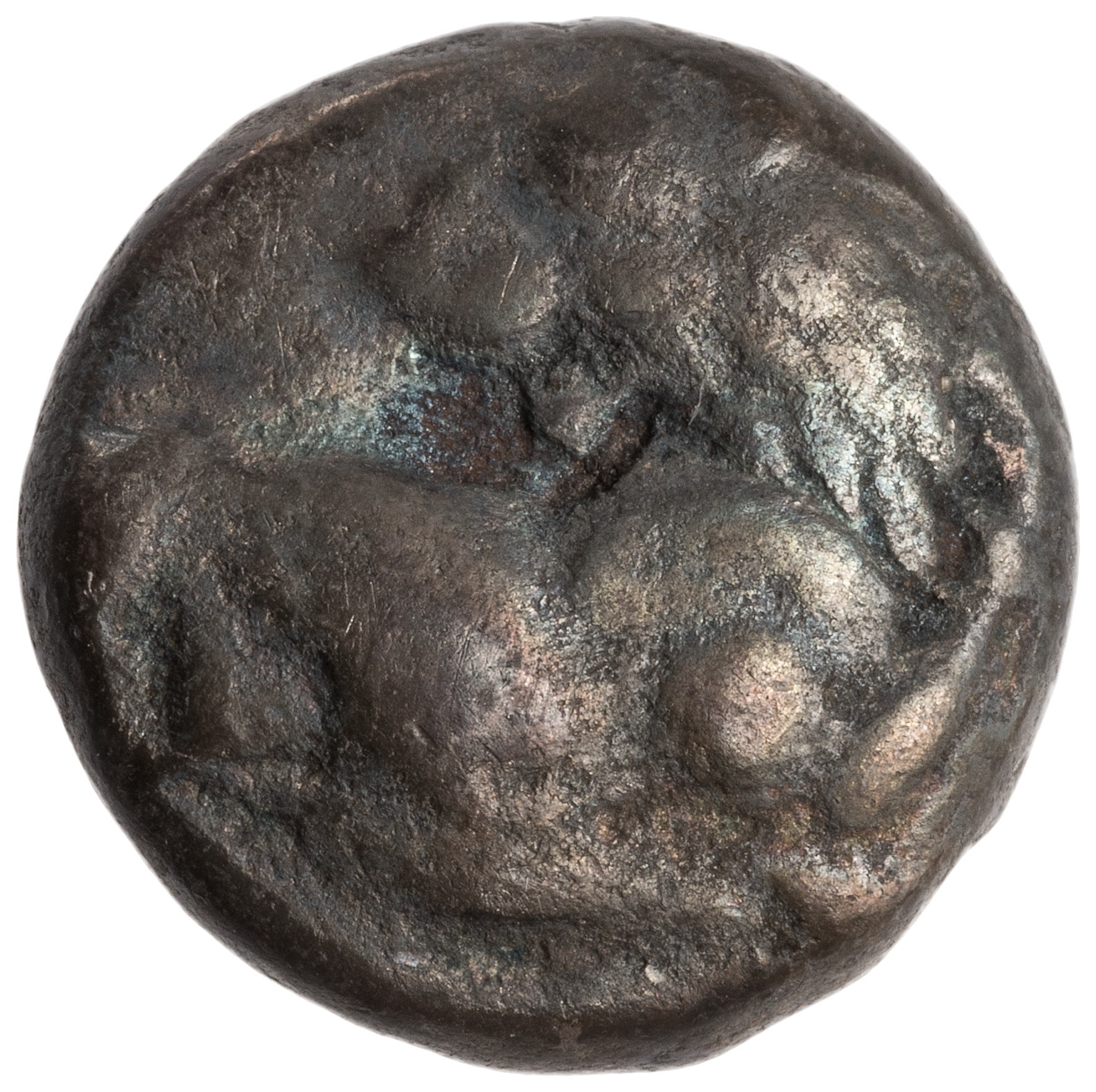 аверс CN Type cn.chersonesus_thrace.1_ed.95