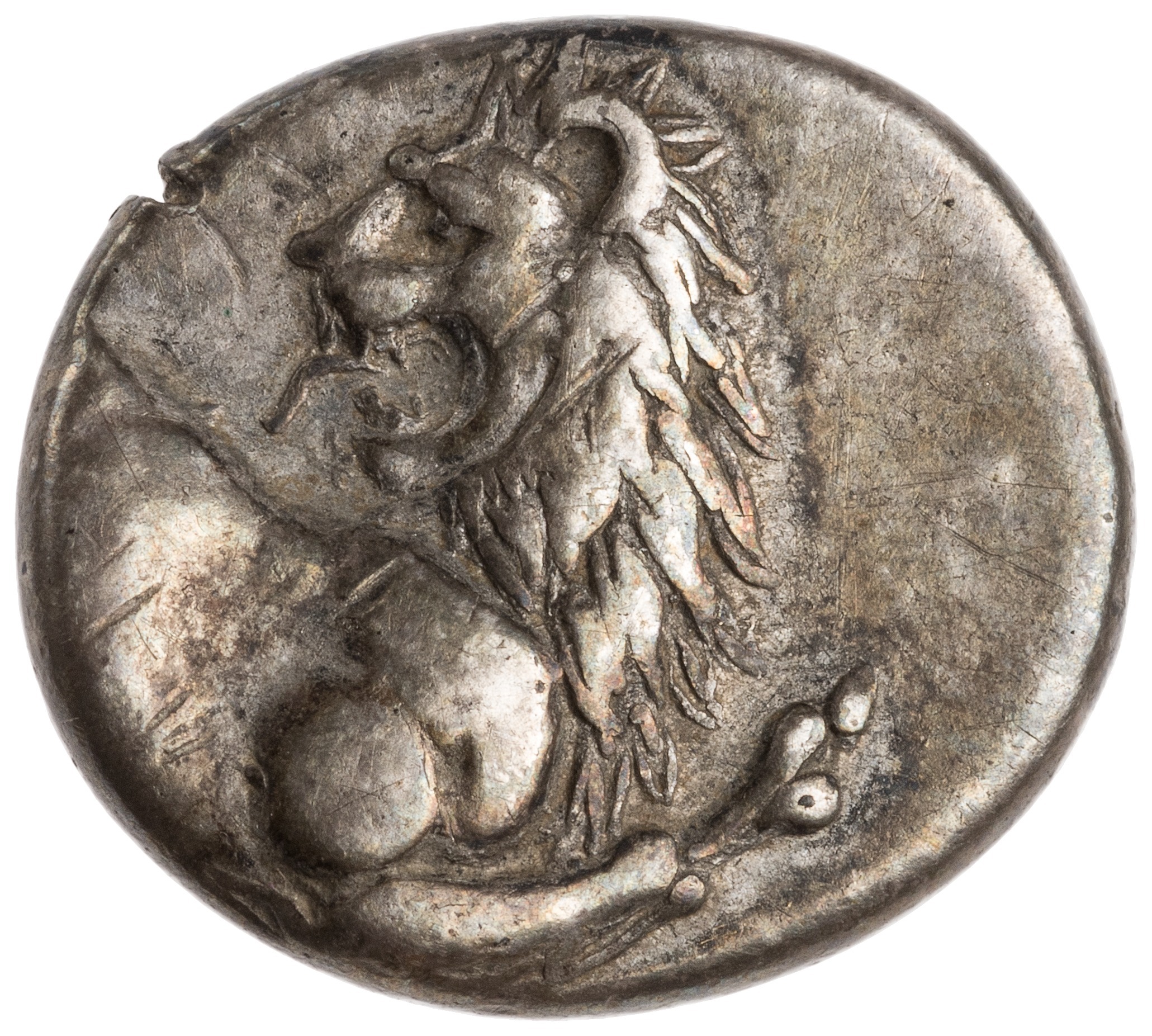 CN Type cn.chersonesus_thrace.1_ed.95, аверс, cn-coins
