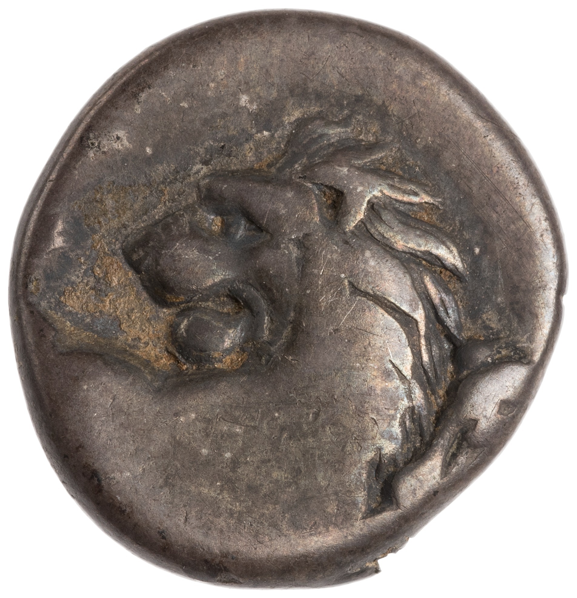 CN Type cn.chersonesus_thrace.1_ed.95, аверс, cn-coins
