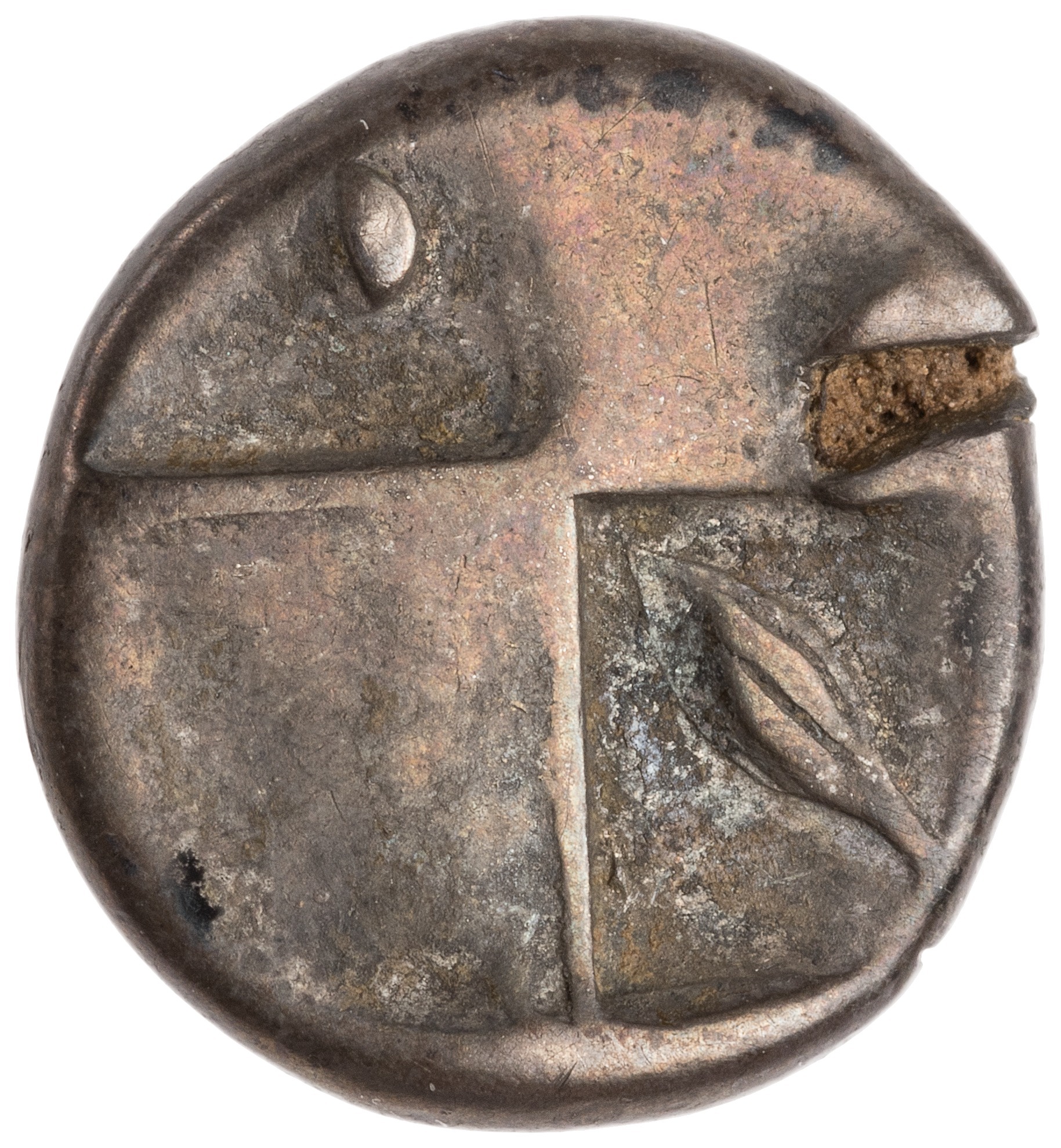 CN Type cn.chersonesus_thrace.1_ed.95, реверс, cn-coins