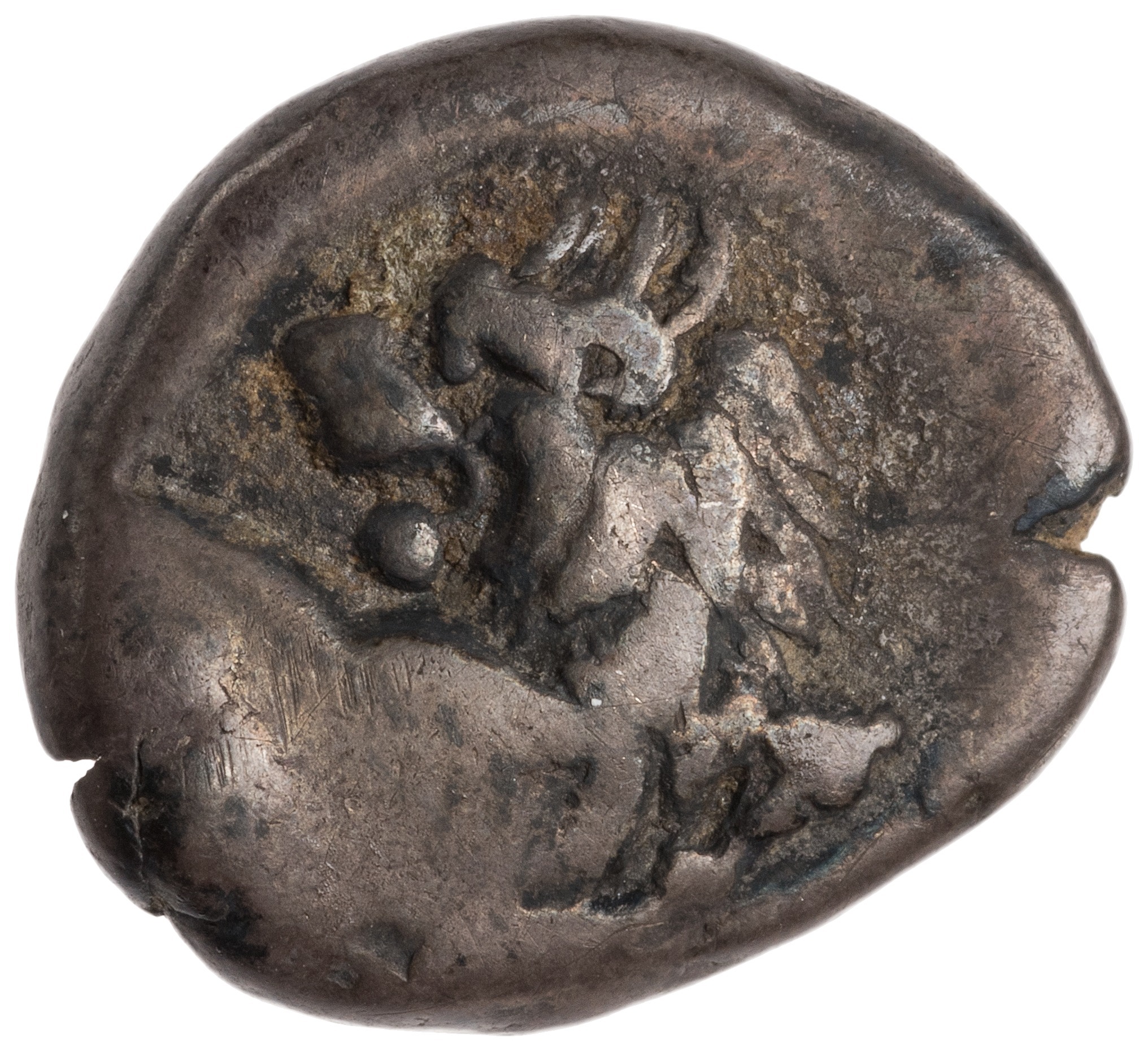 CN Type cn.chersonesus_thrace.1_ed.96, obverse, cn-coins