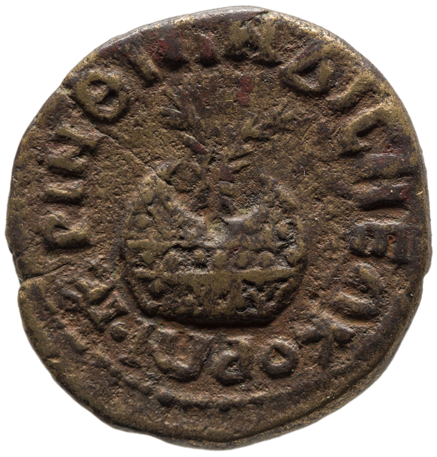 reverse CN Type cn.perinthus.1_ed.473