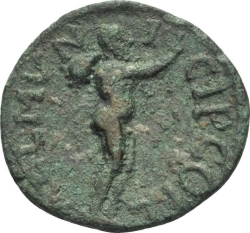 reverse CN Type cn.coela.1_ed.106