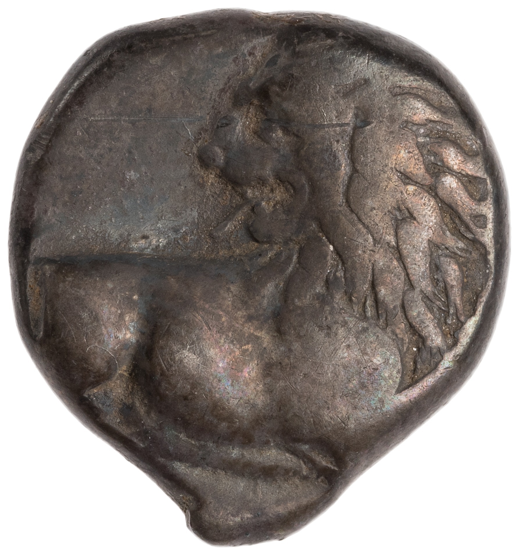 CN Type cn.chersonesus_thrace.1_ed.97, аверс, cn-coins
