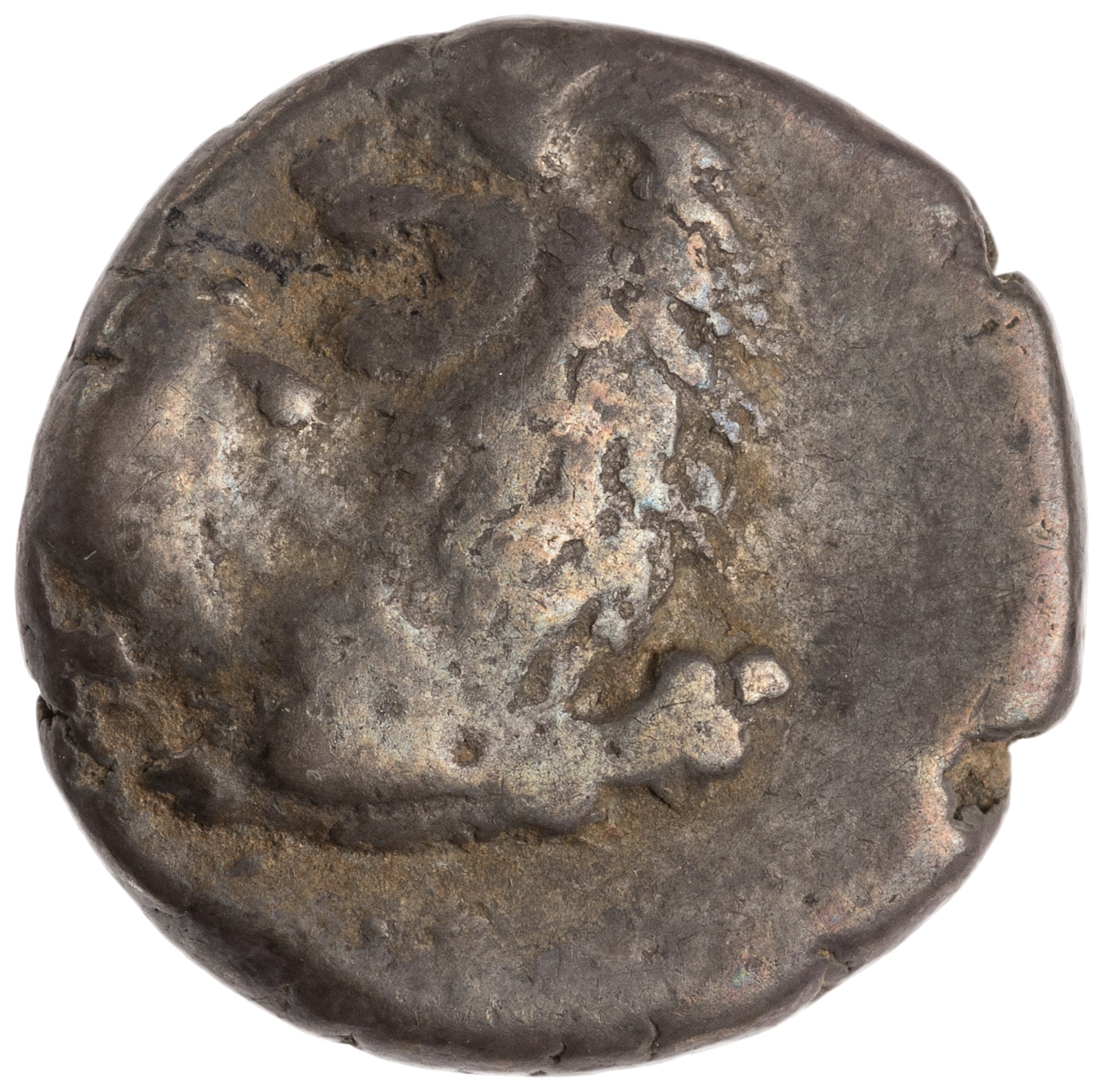 CN Type cn.chersonesus_thrace.1_ed.99, аверс, cn-coins