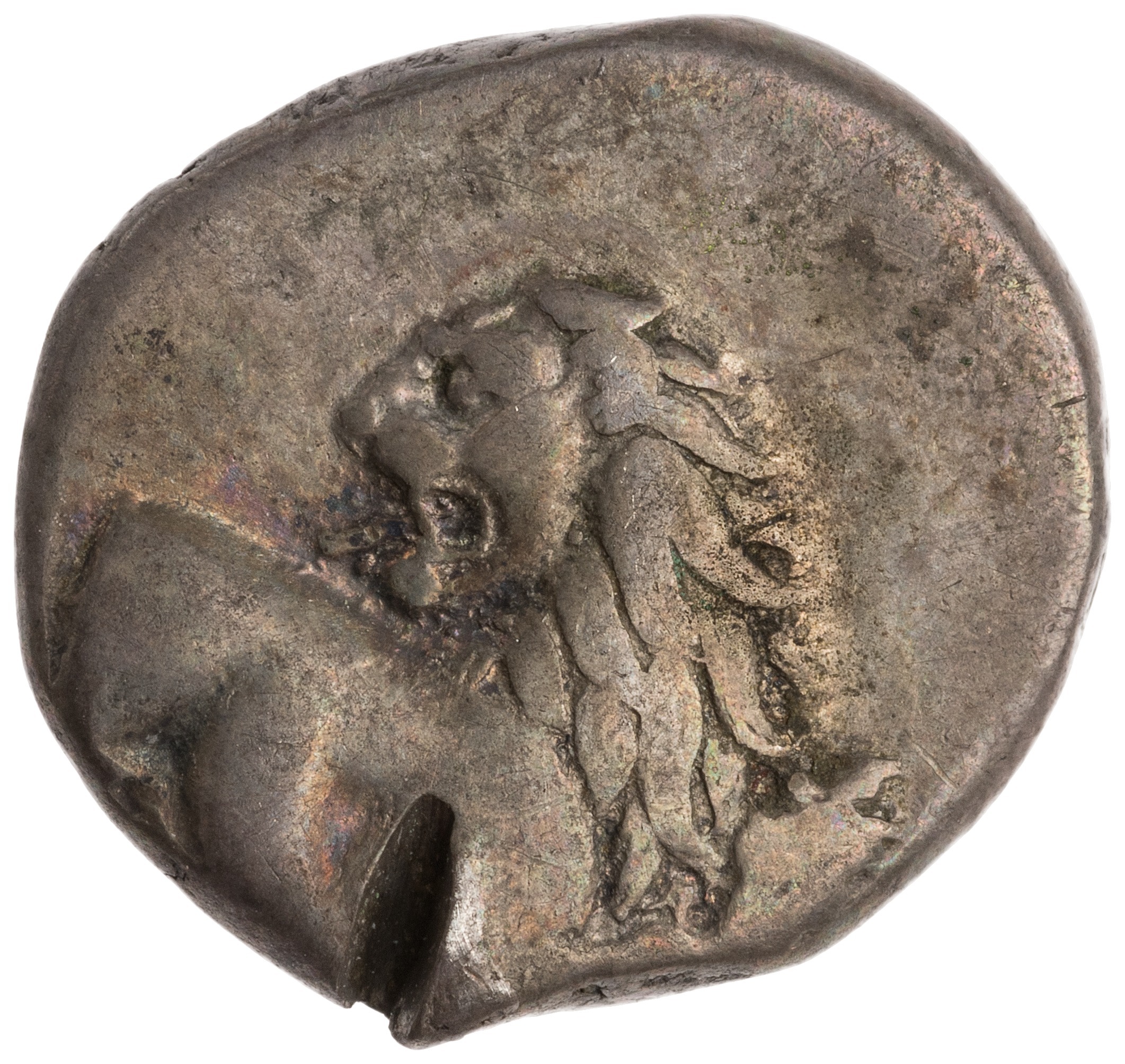 CN Type cn.chersonesus_thrace.1_ed.99, аверс, cn-coins
