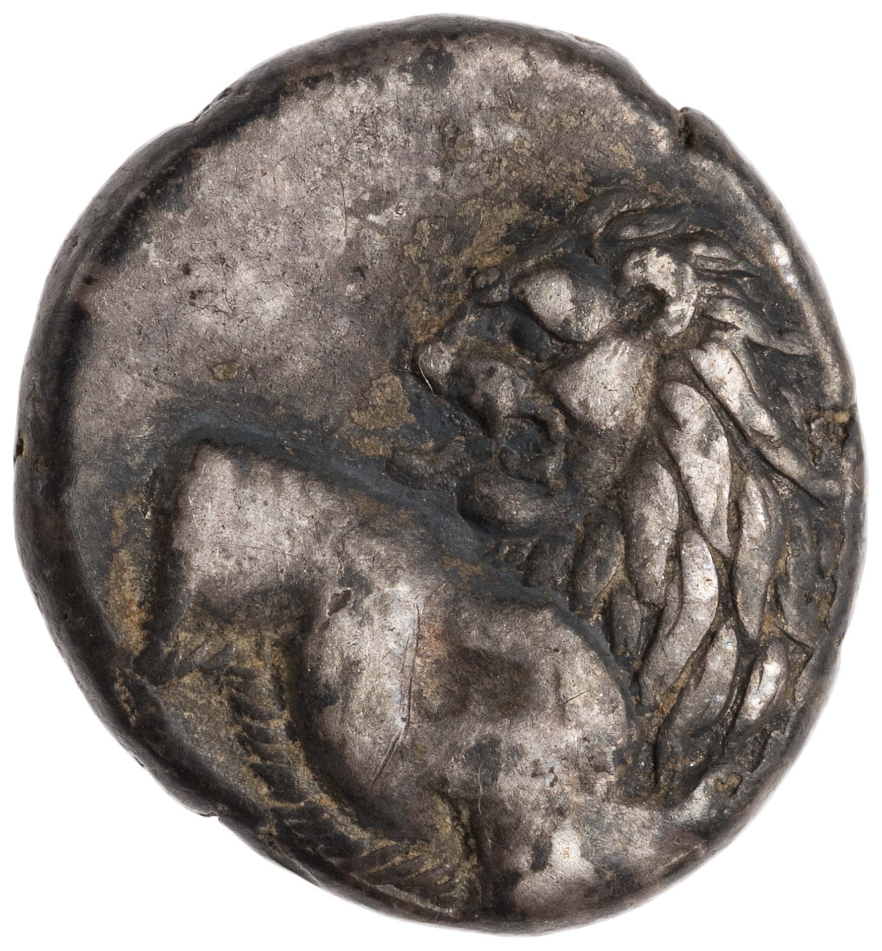 CN Type cn.chersonesus_thrace.1_ed.100, аверс, cn-coins