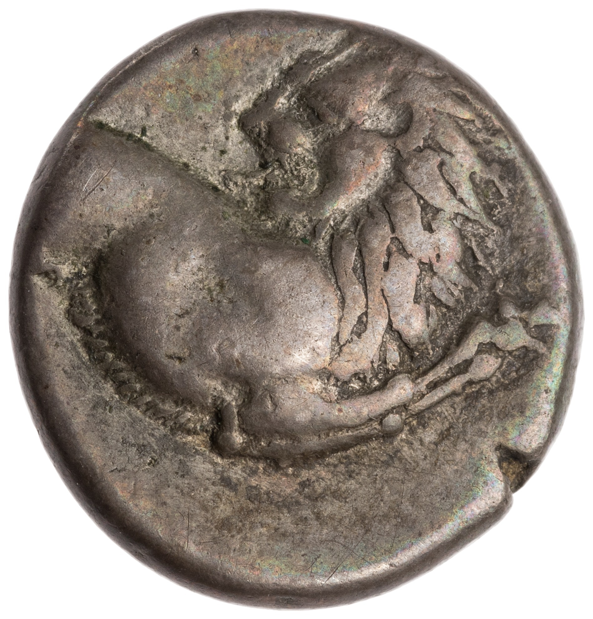 CN Type cn.chersonesus_thrace.1_ed.101, аверс, cn-coins