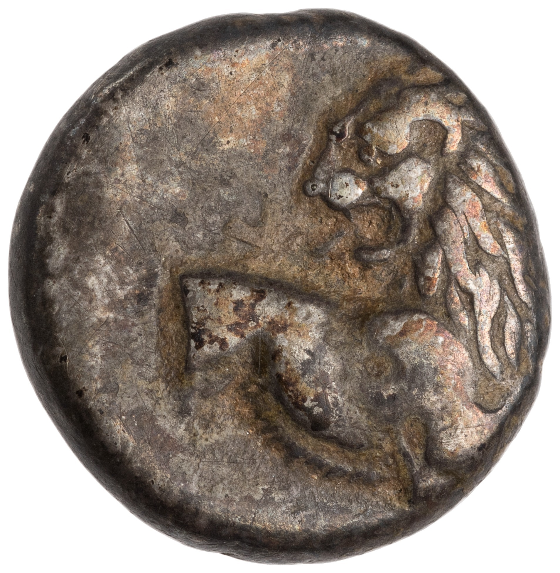 CN Type cn.chersonesus_thrace.1_ed.101, аверс, cn-coins