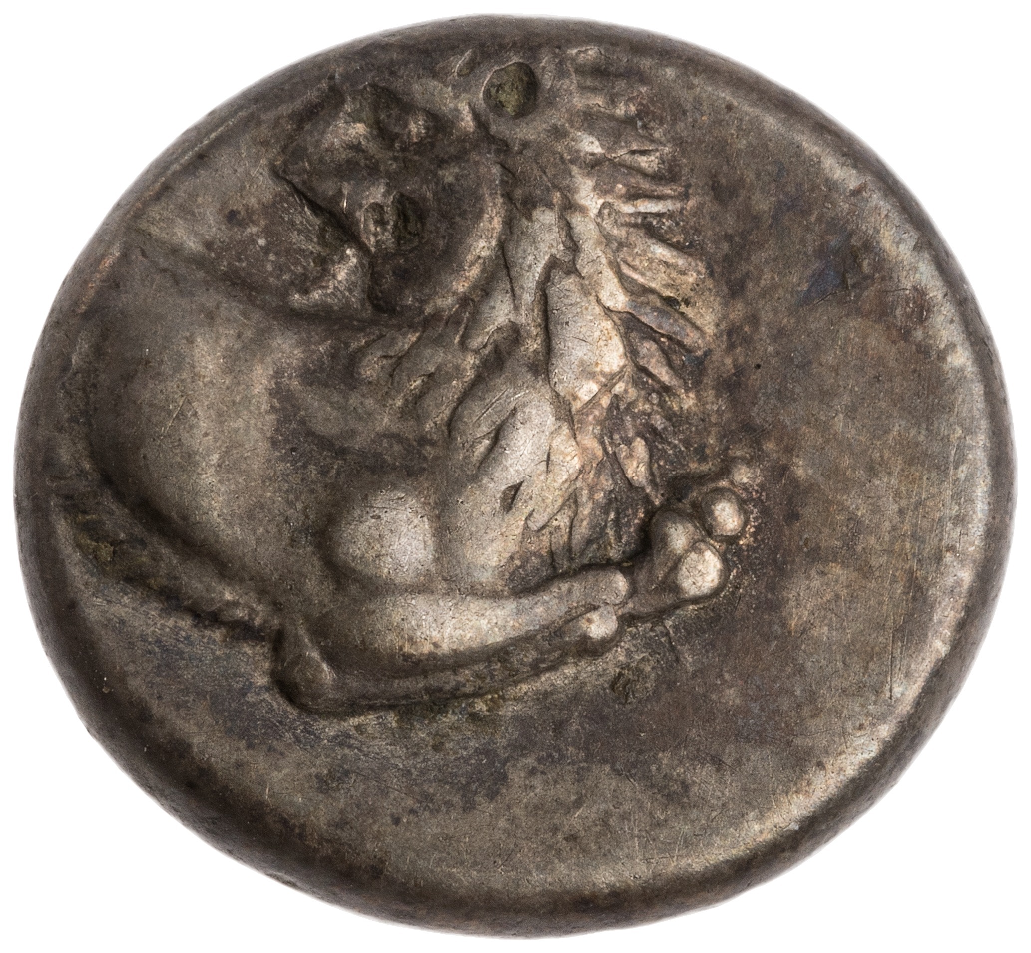 CN Type cn.chersonesus_thrace.1_ed.104, аверс, cn-coins