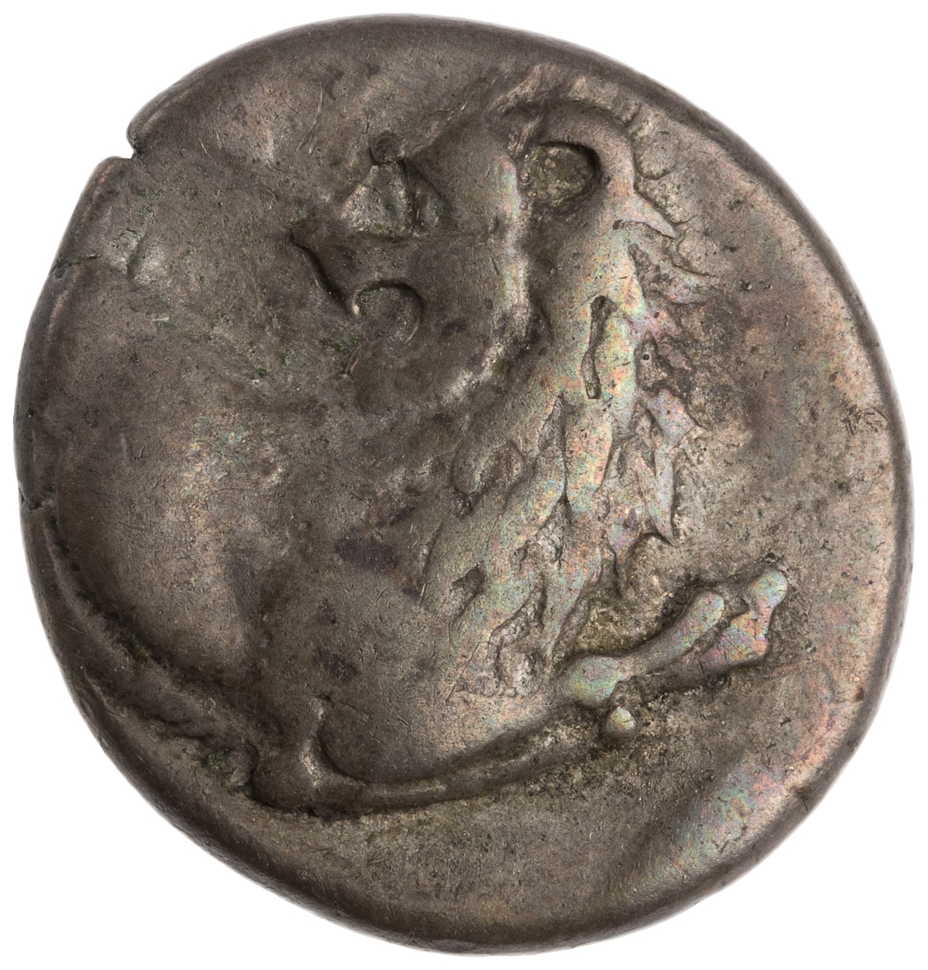 CN Type cn.chersonesus_thrace.1_ed.104, аверс, cn-coins