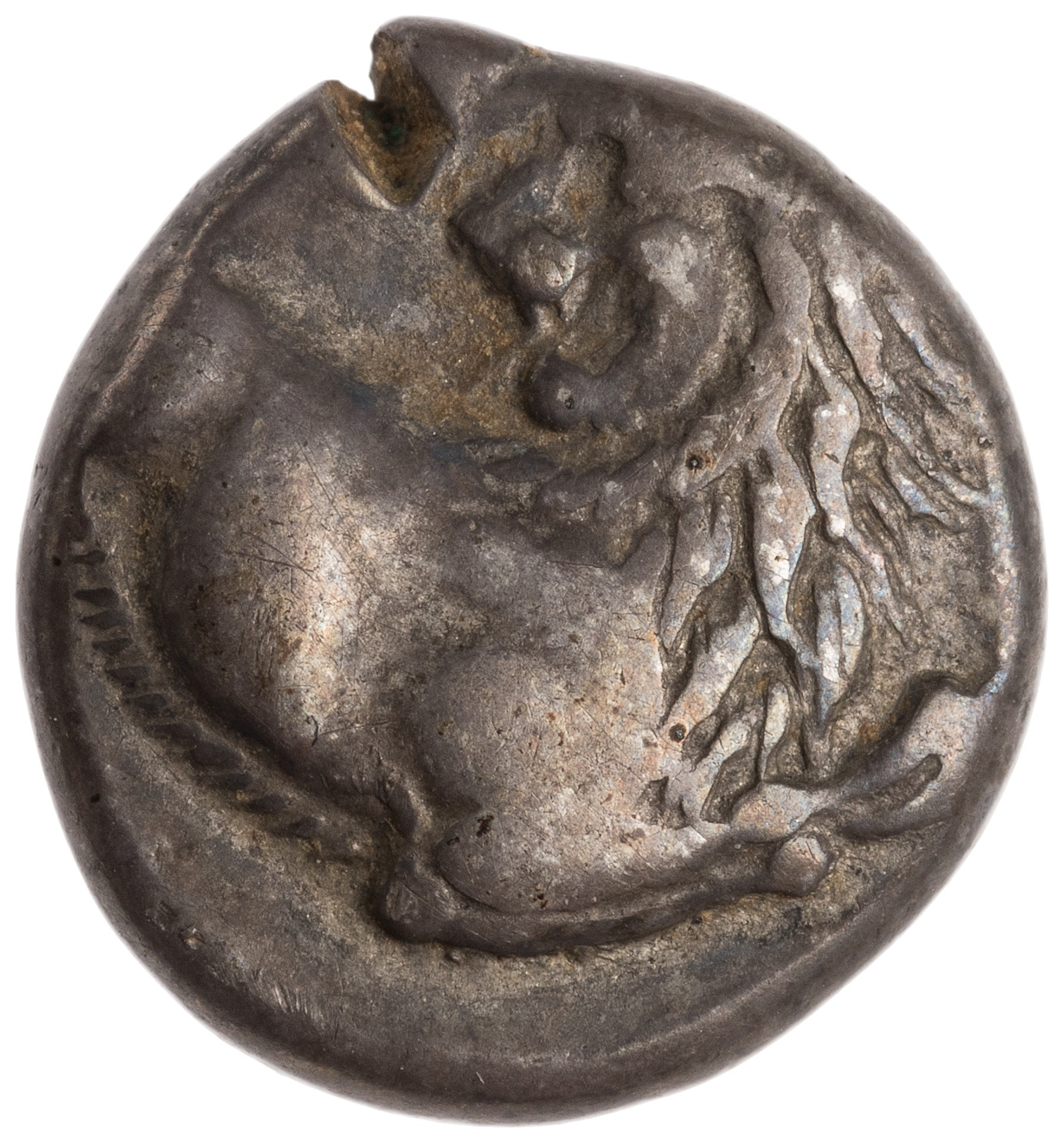 CN Type cn.chersonesus_thrace.1_ed.104, аверс, cn-coins