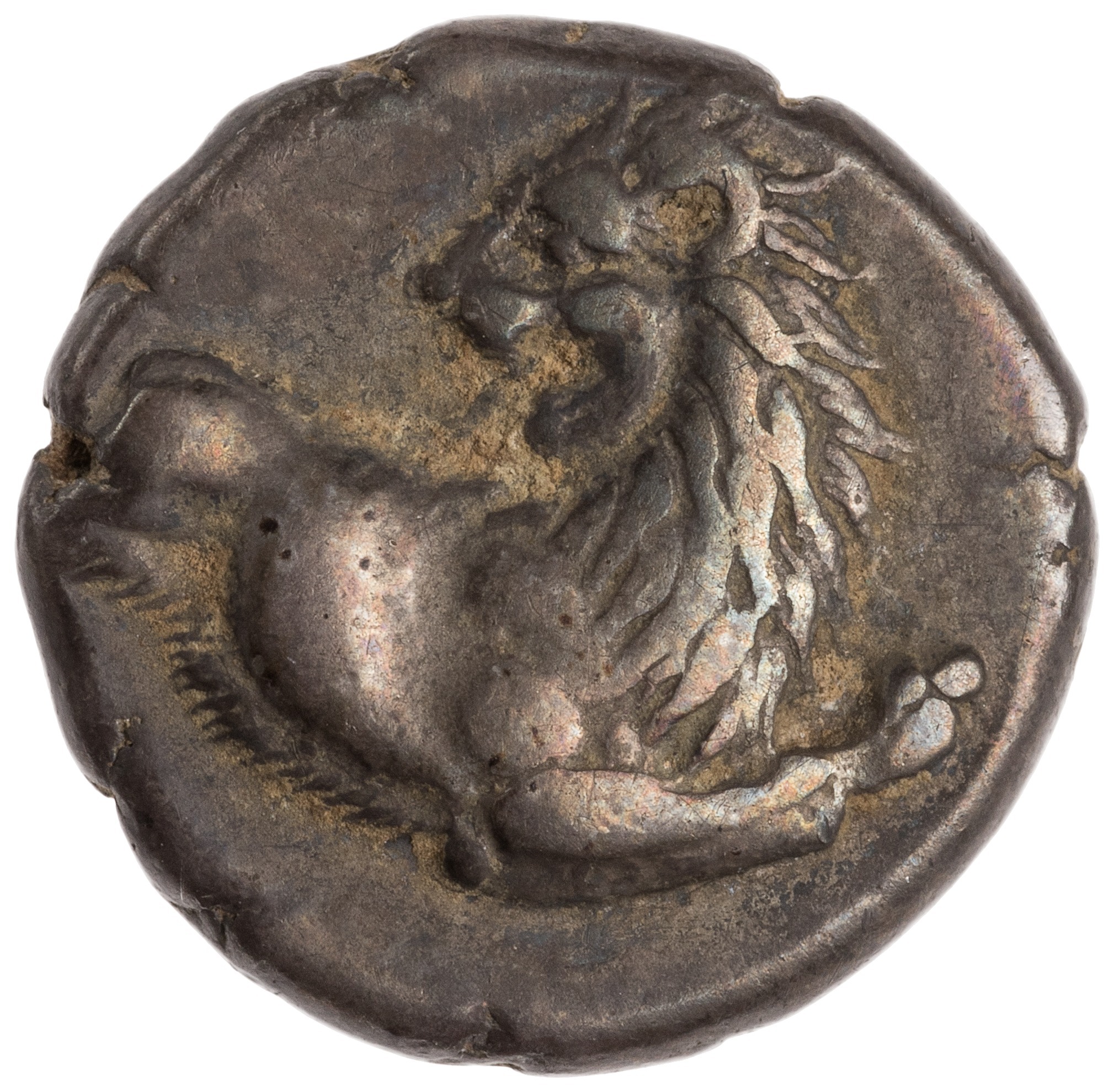 CN Type cn.chersonesus_thrace.1_ed.104, аверс, cn-coins